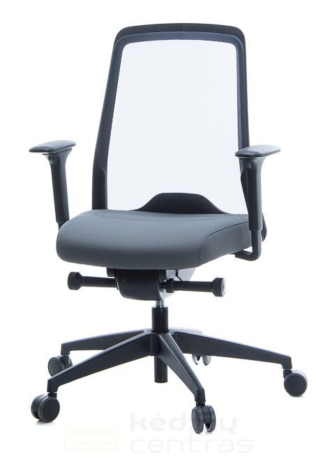 biuro kede, biuro kede, biuro kedes, biuro kėdė, biuro kedės, biuro kedė, Ergonomiskos kedes, ergonomines kedes, Interstuhl biuro kede, Biuro kedes internetu, Biuro kedes internetu