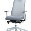 Office chair, Task chair, Desk chair, Ergonomic chair, Home office chair, Office chair SUNNY mesh with headrest