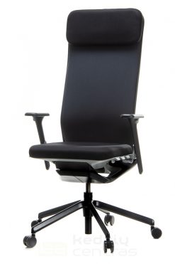 darbo kėdė, ergonomiška, ergonominė darbo aplinka, kėdė su ratukais, reguliuojama kėdė, kėdė su porankiais, vadovo kėdė, tinklinė kėdės nugarėlė,
