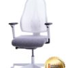 Office chair, Task chair, Desk chair, Ergonomic chair, Home office chair