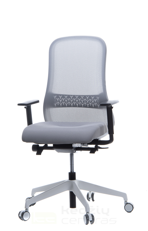 Office chair, Task chair, Desk chair, Ergonomic chair, Home office chair