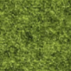 Žalia (80% Vilna, 20% poliesteris) F60