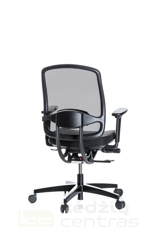biuro kėdės, kėdė kamuolys, aktyvus sėdėjimas, aktyvaus sėdėjimo kėdė, biuro kėdė, biuro kėdės, darbo kede, darbo kėdės, ofiso kėdė, ergonomiška kėdė, ergonominis sėdėjimas, ergonomika, ergonominė darbo vieta, namų biuras,